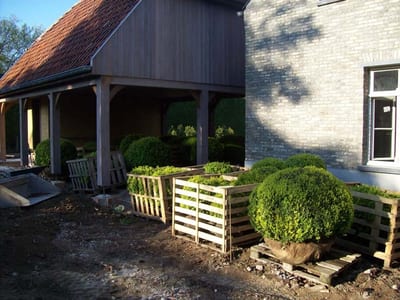 Groen