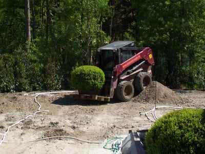 Groen