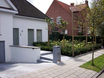 Groen
