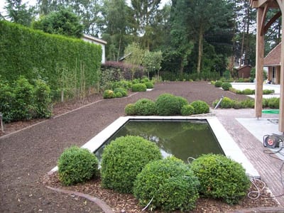 Groen