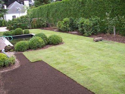 Groen