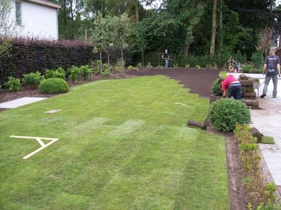 Groen