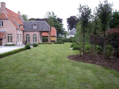 Groen