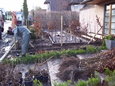 Groen