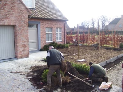 Groen