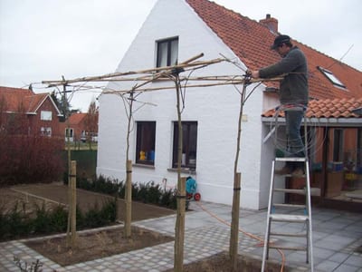 Groen