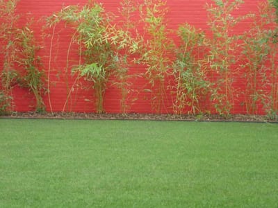 Groen