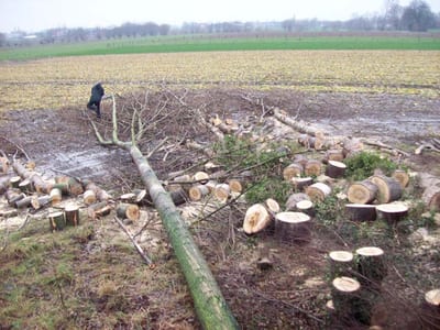 Onderhoud