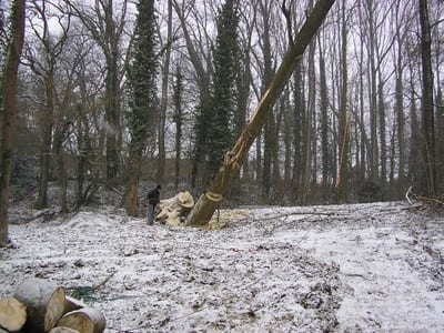Onderhoud